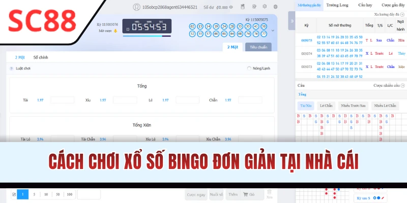 Cách chơi xổ số Bingo dễ hiểu cho người mới